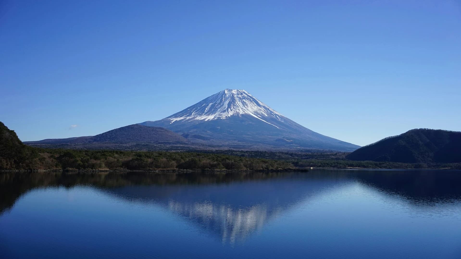 Ultimate Mount Fuji Photo Spot Guide (Dream Bridge, Fujinomiya Sengen Taisha, Lake Tanuki, and Shiraito Falls)