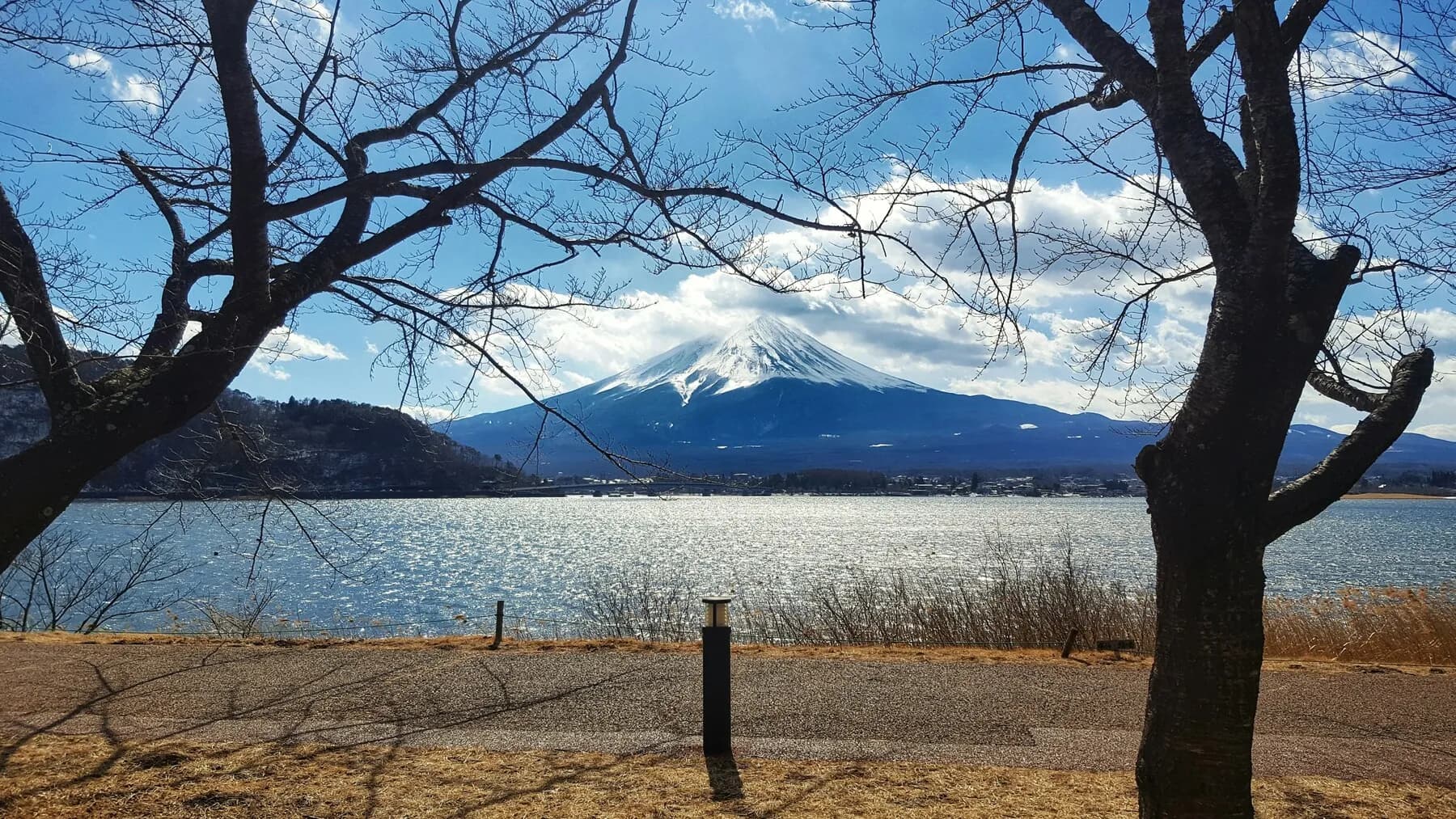 The Ultimate Mt. Fuji & Kawaguchiko Travel Guide: Courses, Bus Tours, and Photo Spots