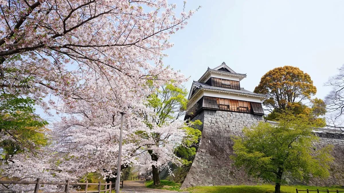 Kumamoto